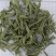 甜叶菊，规格齐全，对版，茶用新货颜色好实拍现货接单秒发货