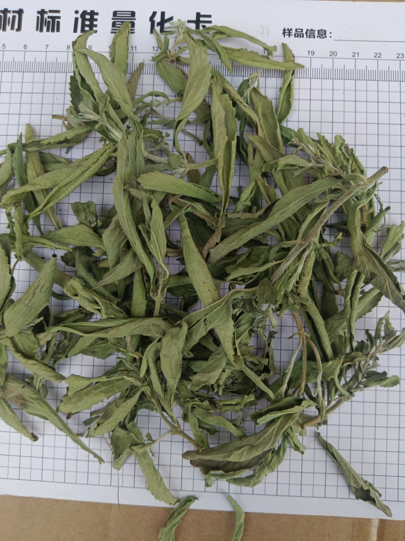 甜叶菊，规格齐全，对版，茶用新货颜色好实拍现货接单秒发货