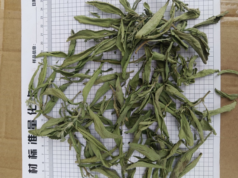 甜叶菊，规格齐全，对版，茶用新货颜色好实拍现货接单秒发货