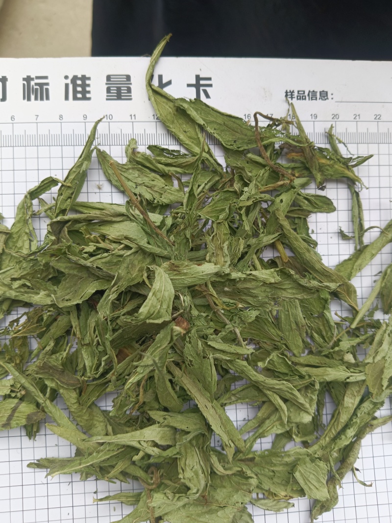 甜叶菊，规格齐全，对版，茶用新货颜色好实拍现货接单秒发货
