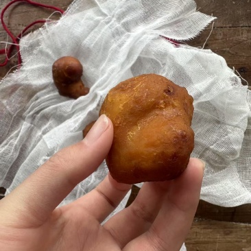 鸡宝，中药