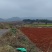 土地租赁现有200亩土地可视频看地常年租赁