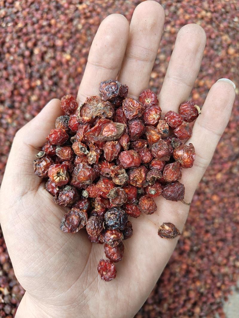 玫瑰果干无硫晒干泡水刺梅果货源充足随时发货