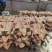 精品手撕烤鸭厂家直发品质保证量大从优一手货源欢迎联系