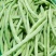 米易高山新鲜四季豆小金豆肉大青豆鲜嫩采摘价格美丽