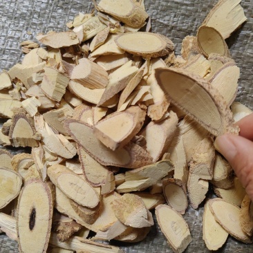 大货价格牛大力