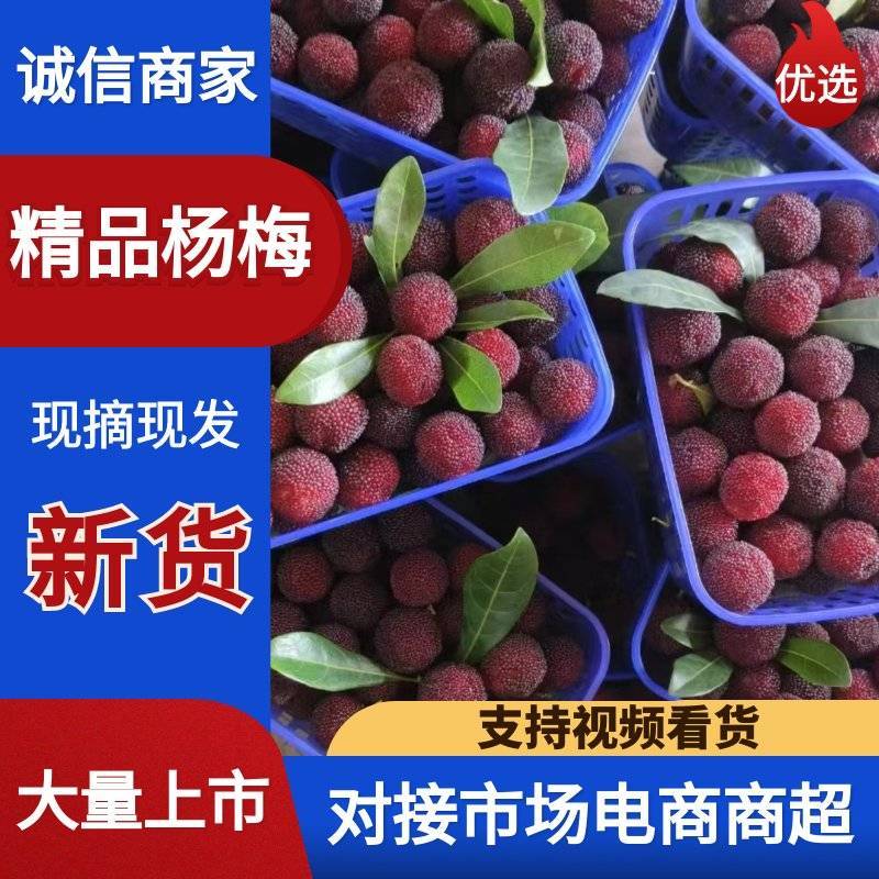 云南高山杨梅，产地首货，品质保证，诚信经营