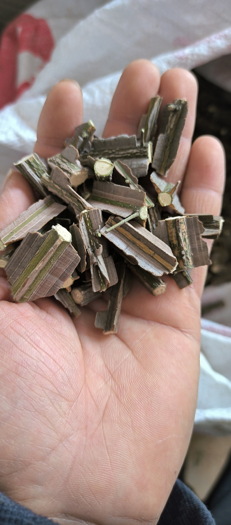 精品鬼箭羽段鬼箭羽片鬼见愁