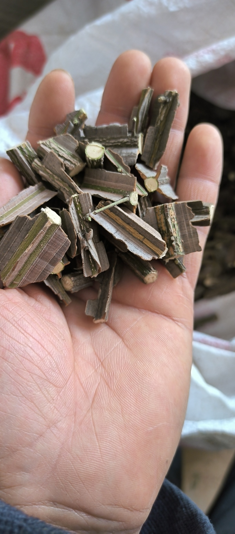精品鬼箭羽段鬼箭羽片鬼见愁