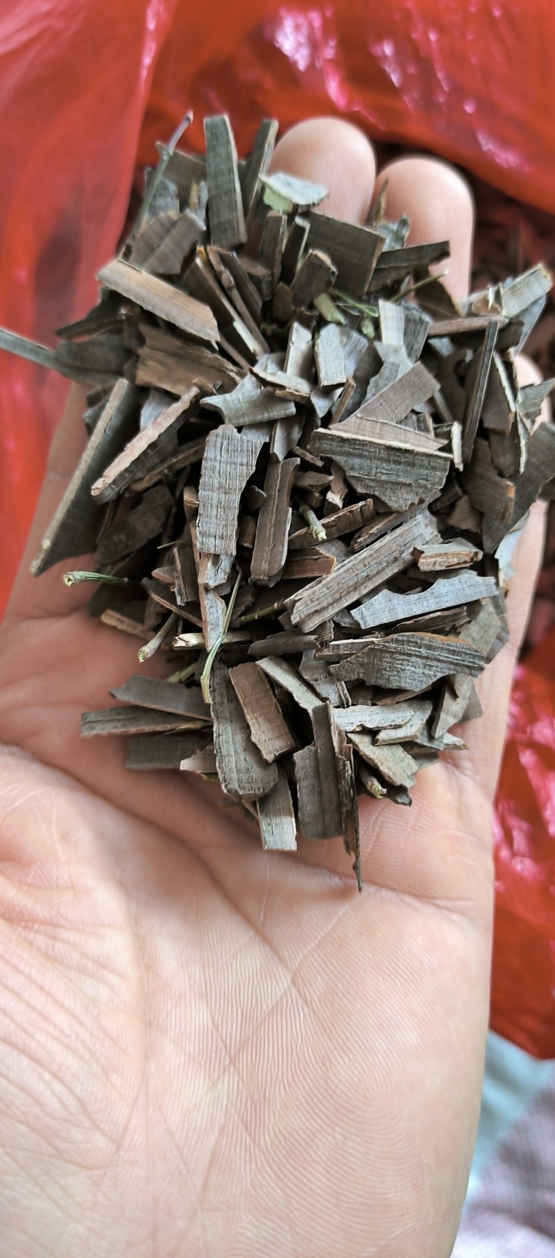 精品鬼箭羽段鬼箭羽片鬼见愁