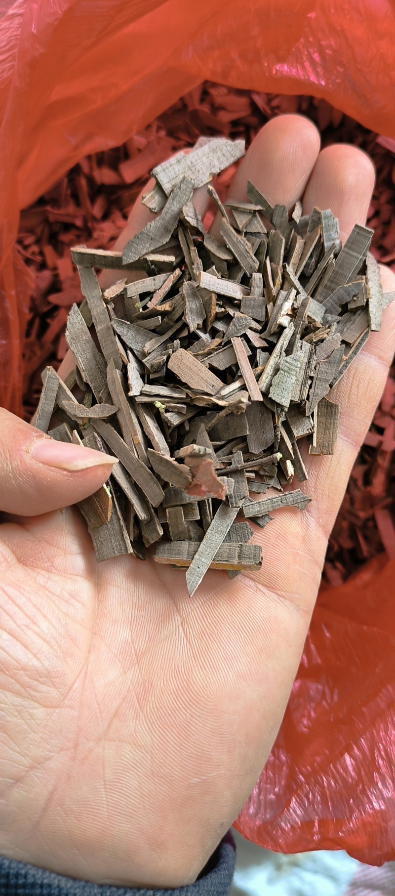 精品鬼箭羽段鬼箭羽片鬼见愁