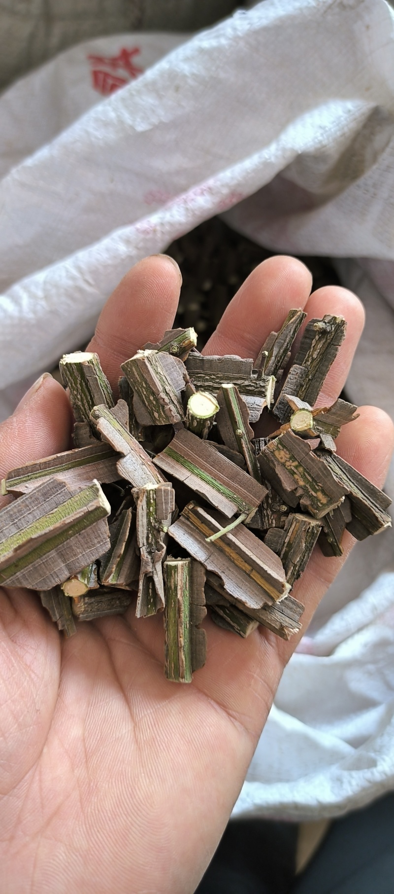 精品鬼箭羽段鬼箭羽片鬼见愁