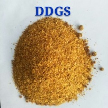 玉米蛋白饲料DDGS营养价值高价格优惠