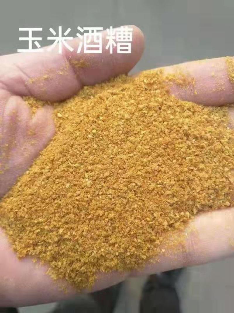 玉米蛋白饲料DDGS营养价值高价格优惠