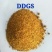 玉米蛋白饲料DDGS营养价值高价格优惠