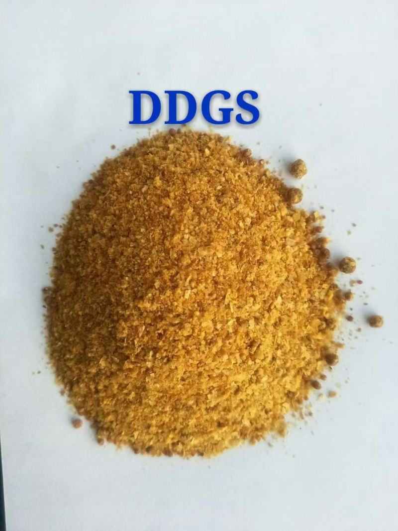 玉米蛋白饲料DDGS营养价值高价格优惠