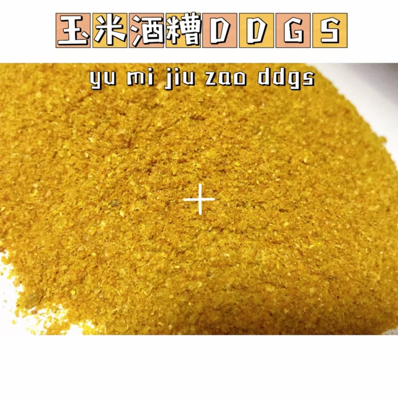 玉米蛋白饲料DDGS营养价值高价格优惠