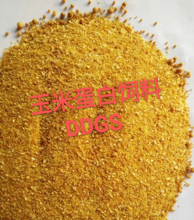 玉米蛋白饲料DDGS营养价值高价格优惠