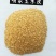 喷浆玉米皮玉米粉颜色金黄养殖**