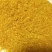 烘干玉米高蛋白DDGS，可替代部分玉米，降低增效。