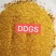 烘干玉米高蛋白DDGS，可替代部分玉米，降低增效。