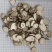 白芷，白芷片无硫，过筛，产地一手货源，新货，实拍现货