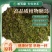 品牌青钱柳原叶颗粒茶正品正牌罐装青钱柳金钱柳中药材茶叶