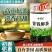 品牌青钱柳原叶颗粒茶正品正牌罐装青钱柳金钱柳中药材茶叶