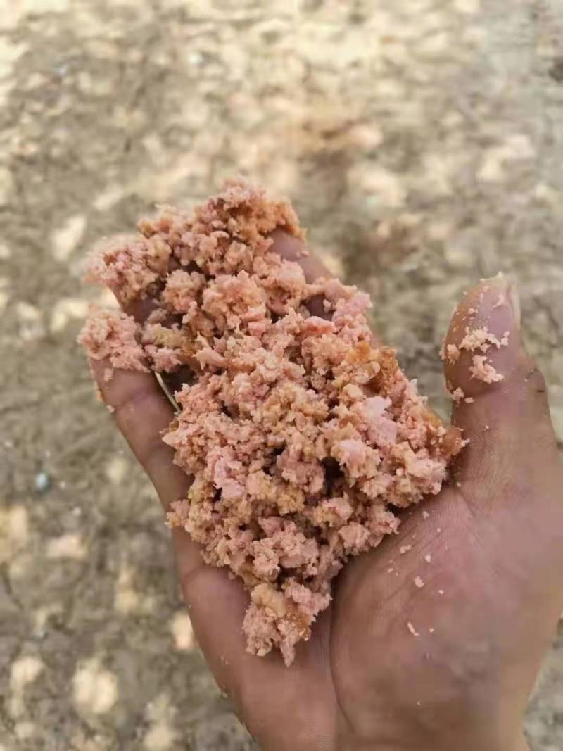 火腿碎，货源充足，厂家直销，全国发货，一手货源。