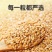 内蒙特产黄金亚麻籽袋装即食熟黄金亚麻籽仁干货杂粮烘焙原料
