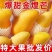 金煌芒果直发当季水果水仙皮薄甜心大芒果一件代发