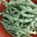 大青豆新鲜大青豆四川大青豆有机种植大青豆