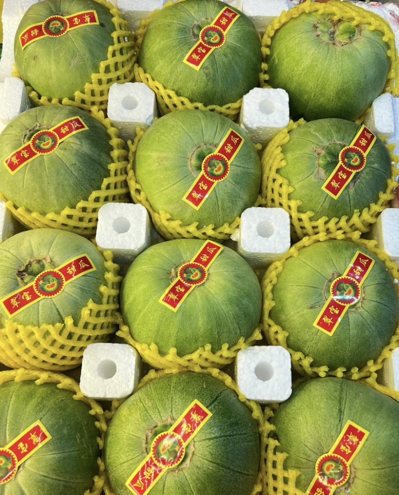【产地直供】绿宝石小蜜蜂羊角蜜玉菇甜瓜erp一件代发
