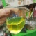 2025新茶恩施富硒绿茶清明茶浓香
