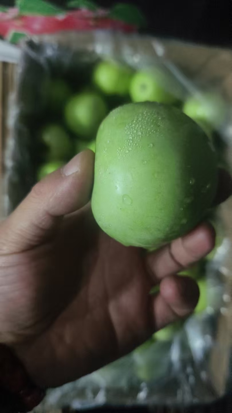 中秋王青苹果（万荣光果商品果，通货）青皮中秋苹果大量供货
