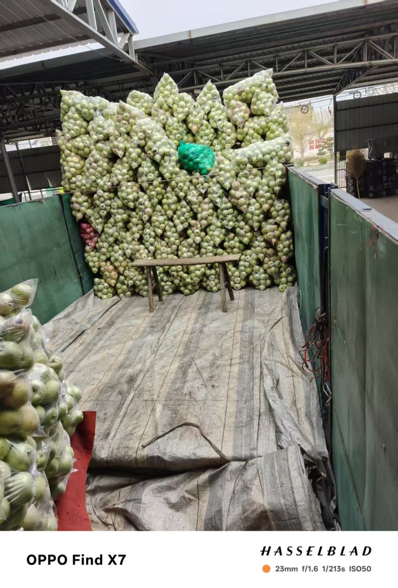 秦冠苹果（万荣苹果商品果工厂果）大量供货价格便宜欢迎采购