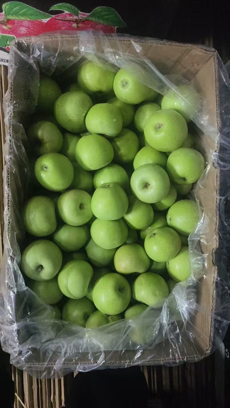 秦冠苹果（万荣苹果商品果工厂果）大量供货价格便宜欢迎采购