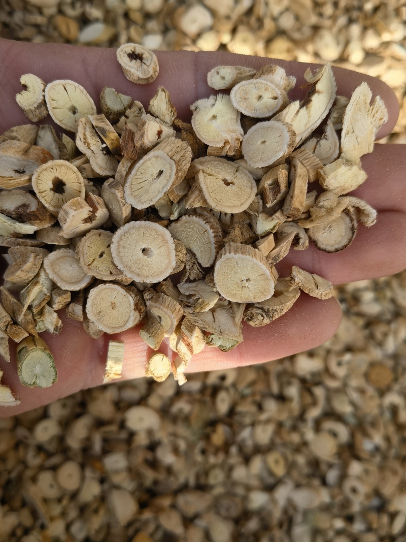 黄芪黄芪圆片统，可打粉量大从优，关书药业品质保证量大