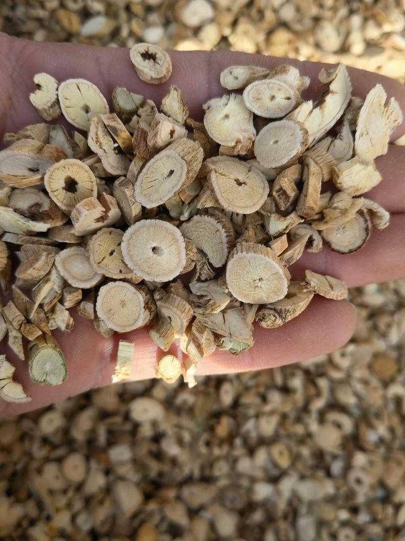 黄芪黄芪圆片统，可打粉量大从优，关书药业品质保证量大