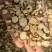 黄芪黄芪圆片统，可打粉量大从优，关书药业品质保证量大