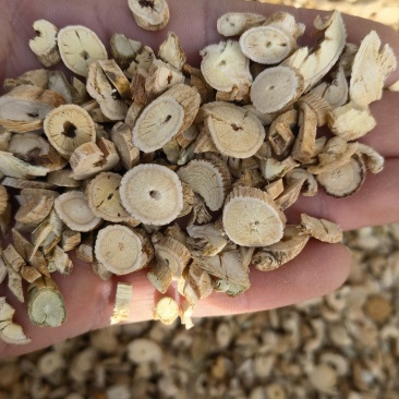 黄芪黄芪圆片统，可打粉量大从优，关书药业品质保证量大