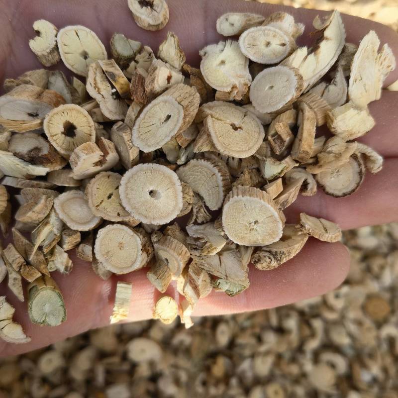 黄芪黄芪圆片统，可打粉量大从优，关书药业品质保证量大