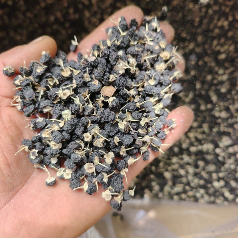 甘肃临夏正品，无硫，自然晾晒风干，产地直发，规格齐全