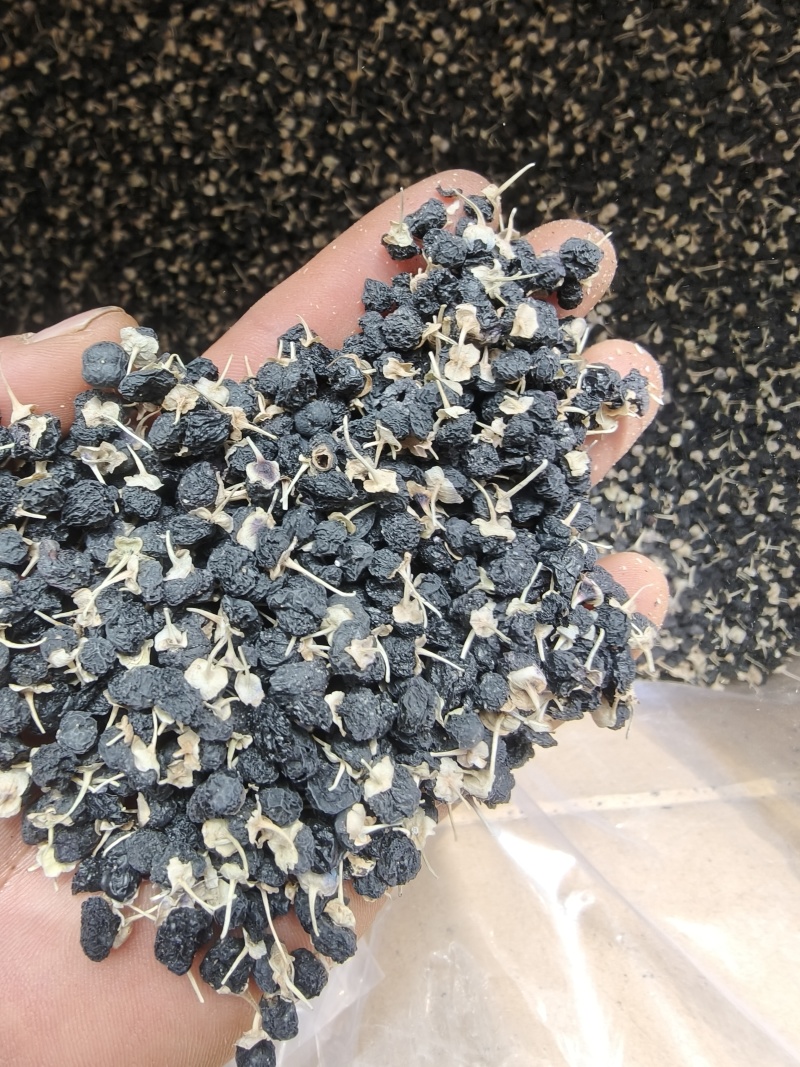 甘肃临夏正品，无硫，自然晾晒风干，产地直发，规格齐全
