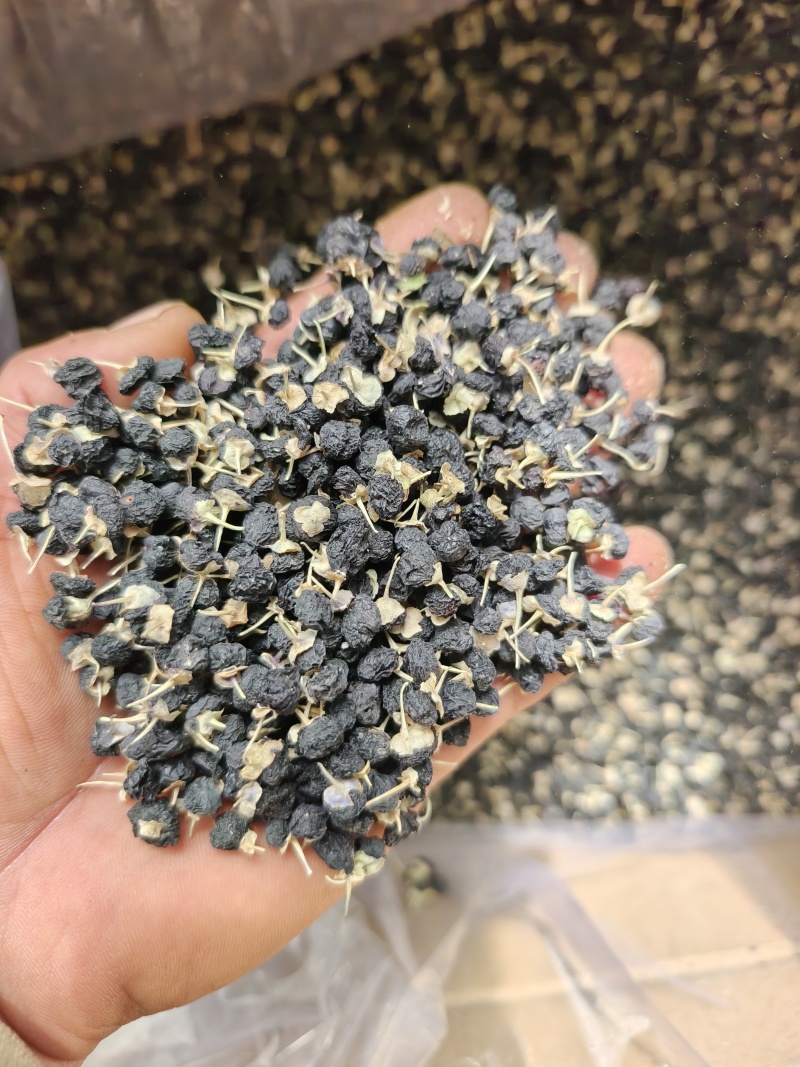 甘肃临夏正品，无硫，自然晾晒风干，产地直发，规格齐全