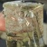 山西杏花集团股份有限公司清花窖藏一箱六瓶53度清香