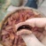 世界地理标志产地，药食同源。