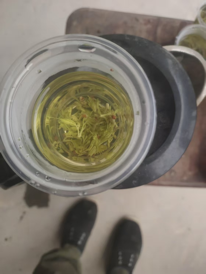 莓茶批发价380一斤，零售价588一斤，紫茶批发568