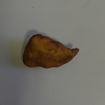 鸡宝，晚上拍摄，效果不好，有意向可联系看