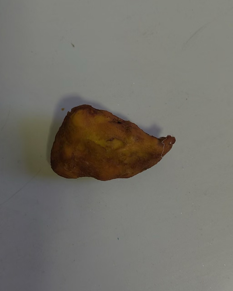 鸡宝，晚上拍摄，效果不好，有意向可联系看